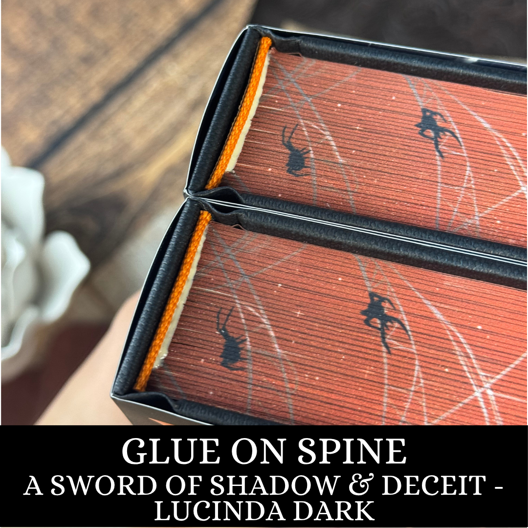 A Sword of Shadow and Deceit | Lucinda Dark | IMPERFECT