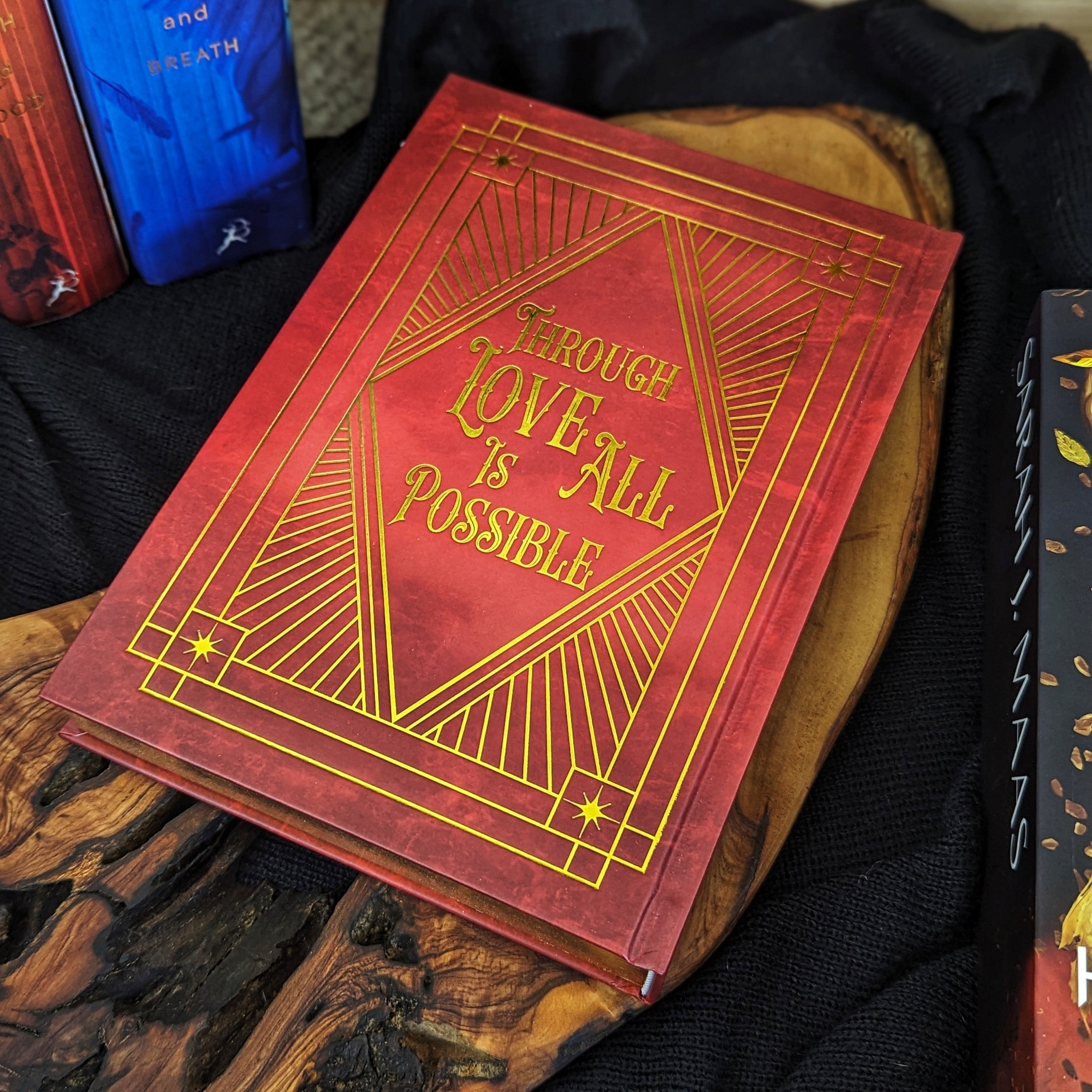 House of Earth and Blood Journal | Crescent City | Sarah J Maas