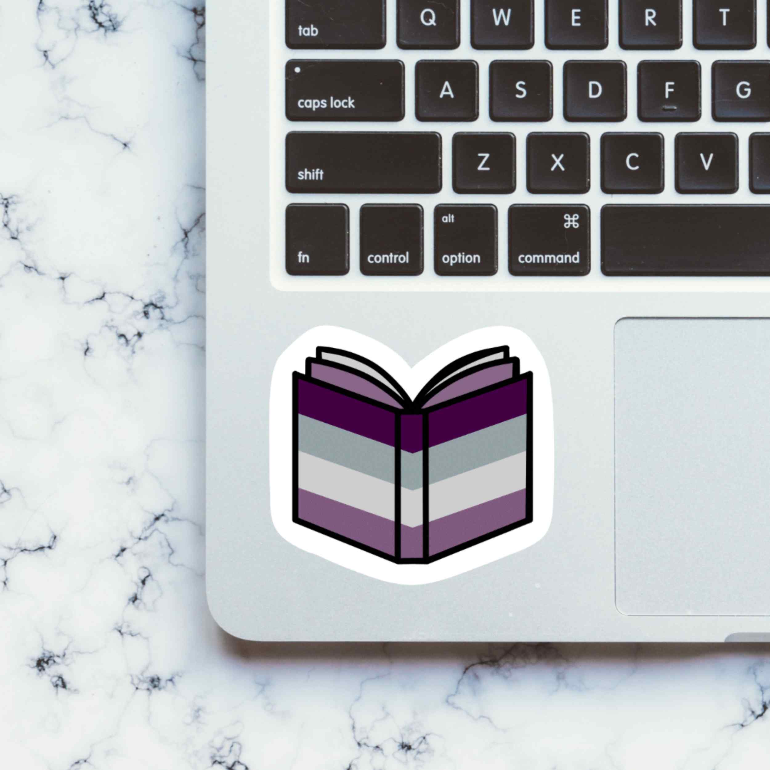Asexual Pride Flag Book Vinyl Sticker