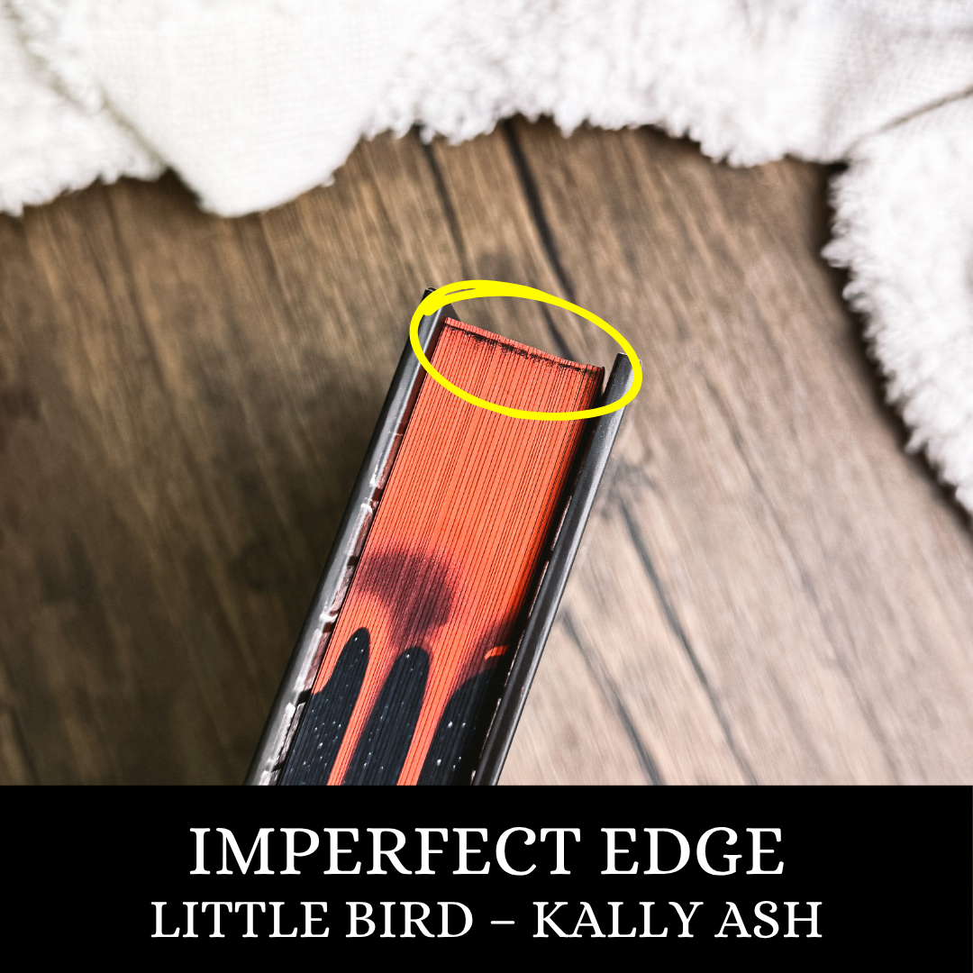 Dirty Deeds Duet | Kally Ash | IMPERFECT MIXED