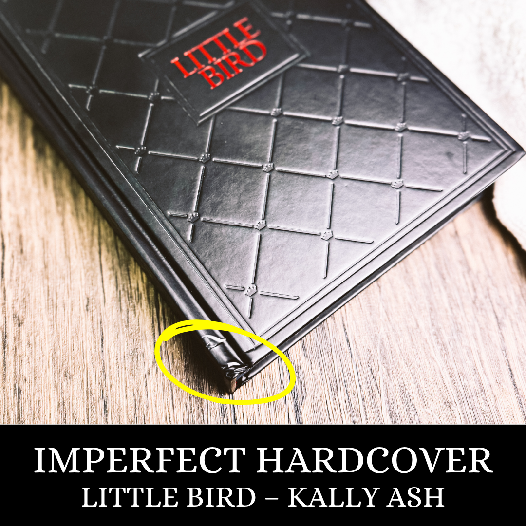 Dirty Deeds Duet | Kally Ash | IMPERFECT MIXED
