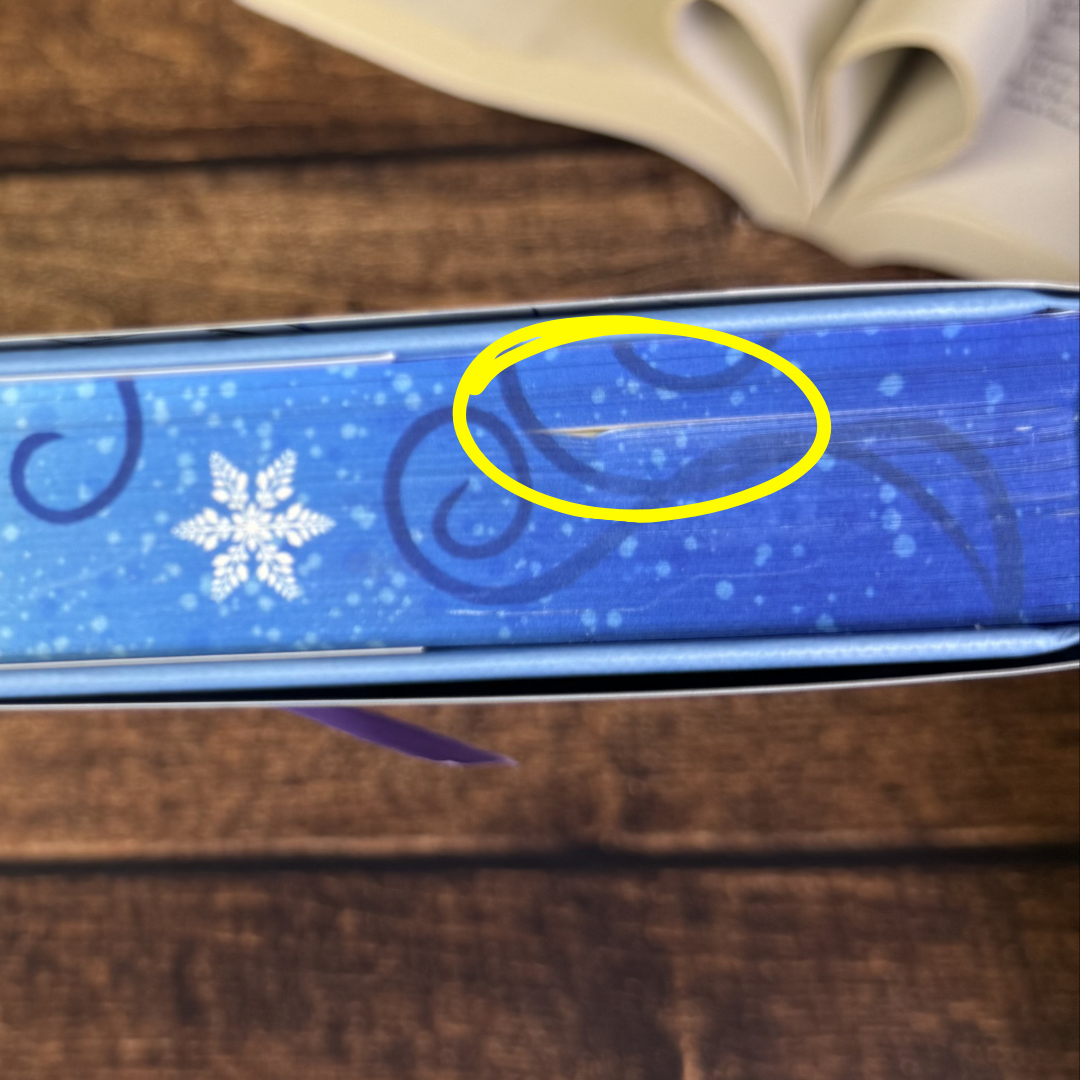 Sleet Series | S.J. Tilly | Exclusive Special Edition | Imperfect