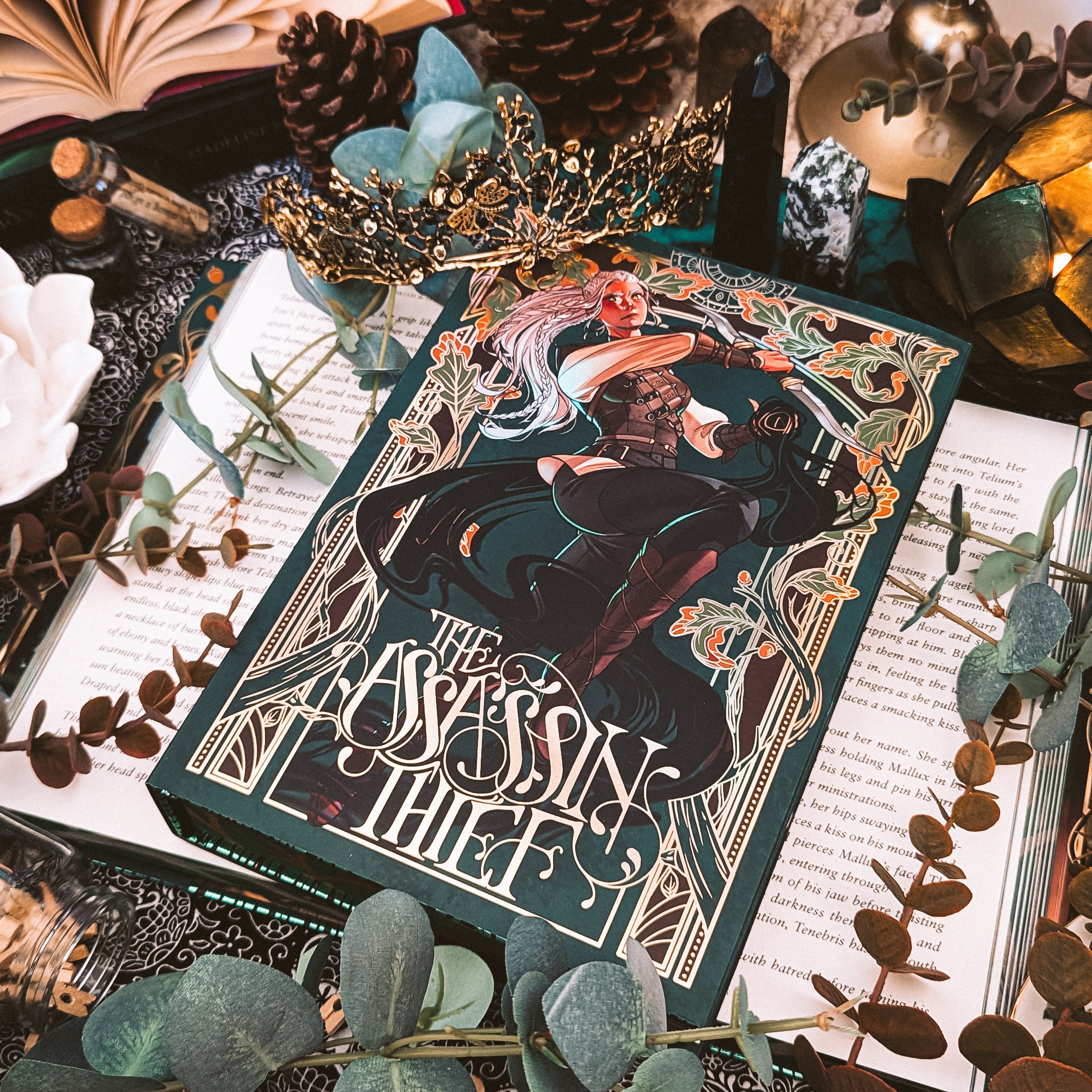 The Assassin Thief SILVER EDGE | Madeline Te Whiu | GOOD CONDITION