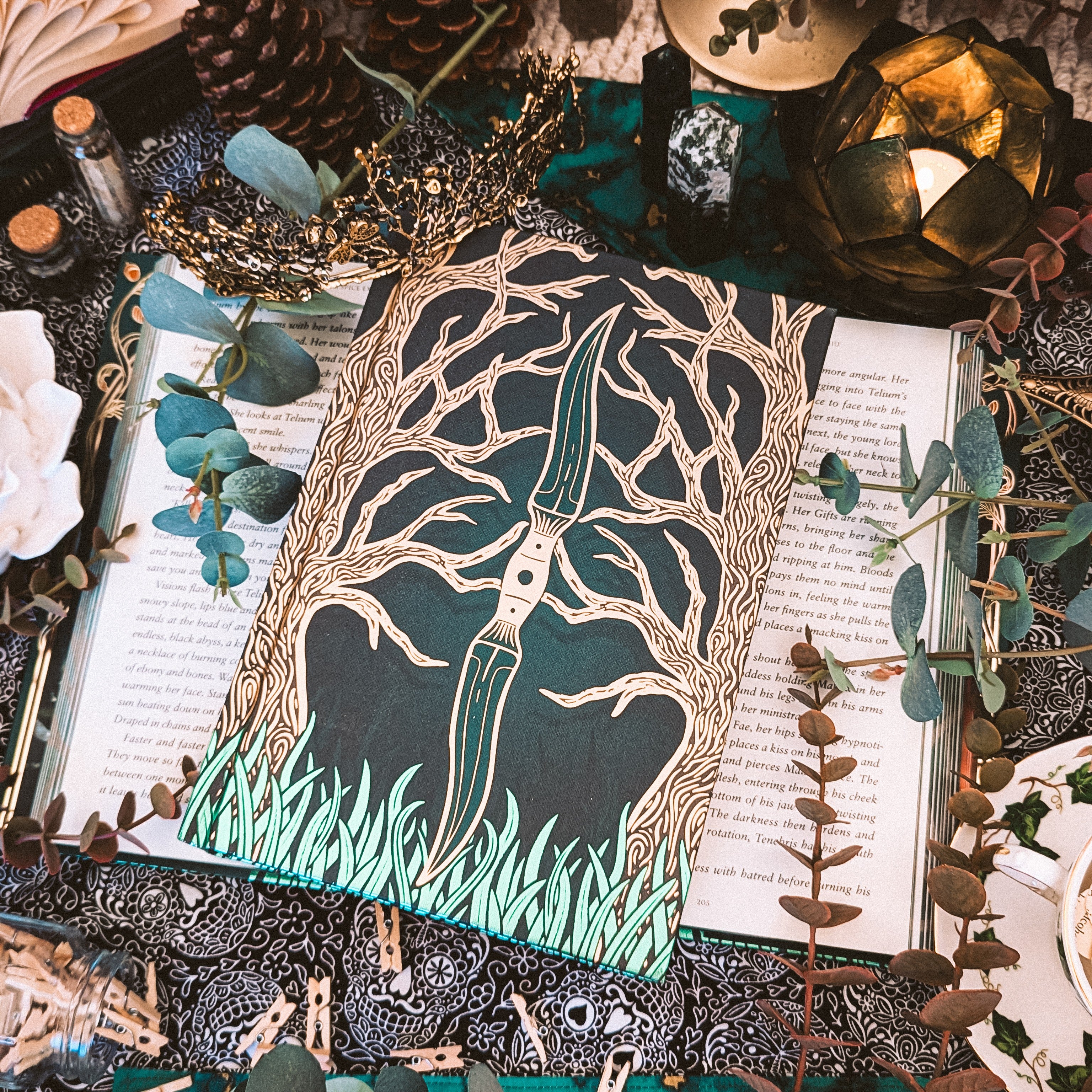 The Assassin Thief SILVER EDGE | Madeline Te Whiu | GOOD CONDITION