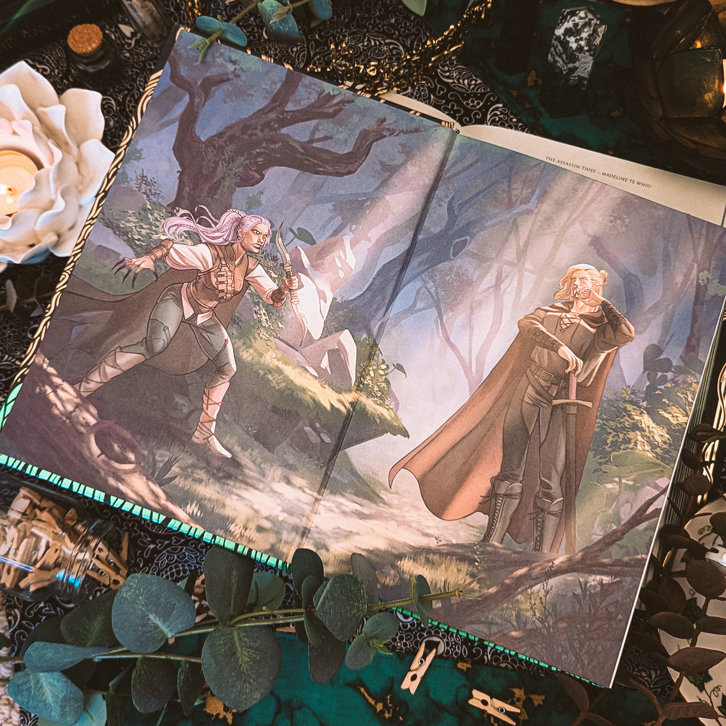 The Assassin Thief SILVER EDGE | Madeline Te Whiu | GOOD CONDITION